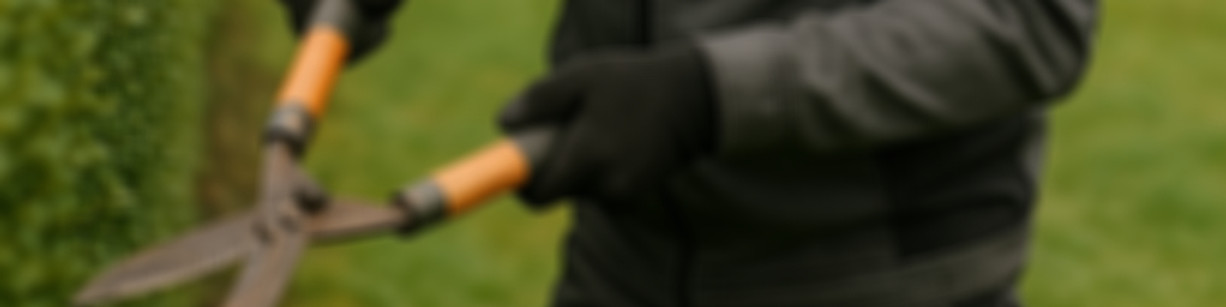 ChatGPT Image 18_edited.jpg