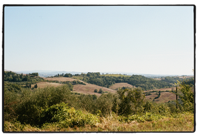 35mm Film wedding photo of a Tuscany wedding venue Borgo di Colleoli, Italy