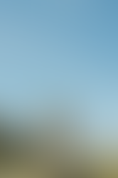 A surprise wedding proposal at Stellisee in Zermatt, Switzerland, with the Matterhorn reflecting in the lake. The bride-to-be, radiant with perfect white nails, celebrates with her fiancé during a magical couple photography session.