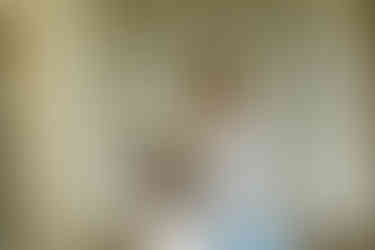 Australian Intimate micro Civil Wedding at Klosterhotel, St. Petersinsel A Romantic Escape on Lake Biel Bienne Swiss mariage inspiration timeless editorial