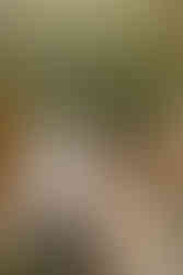 Australian Intimate micro Civil Wedding at Klosterhotel, St. Petersinsel A Romantic Escape on Lake Biel Bienne Swiss mariage inspiration timeless editorial