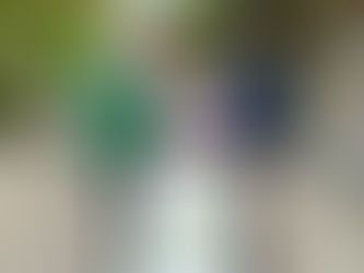 PHOTO RELEASE: MPP Lecce Attends Arts Society King Pop-Up Plant and Art Sale