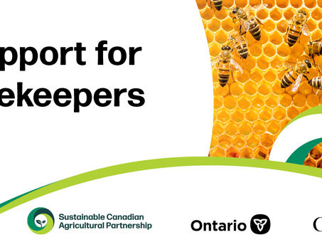 Canada and Ontario Bolstering Honey Bee Health