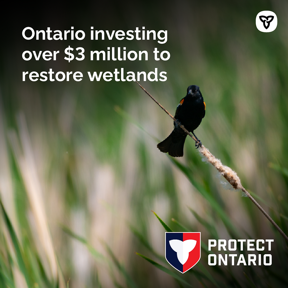 Ontario Investing Over $3 Million to Restore Wetlands and Protect Communities Against Floods