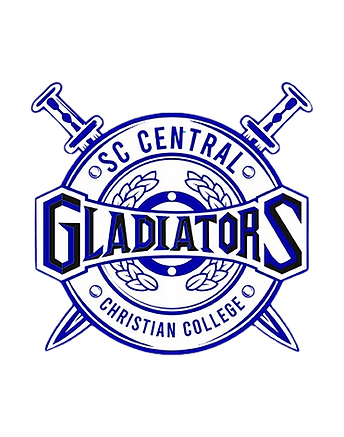 Shield (ytBG)_edited.png