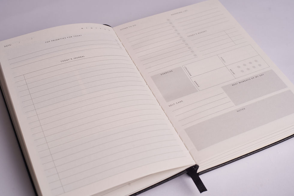 Thumbnail: Mise en Journal (Wellbeing)