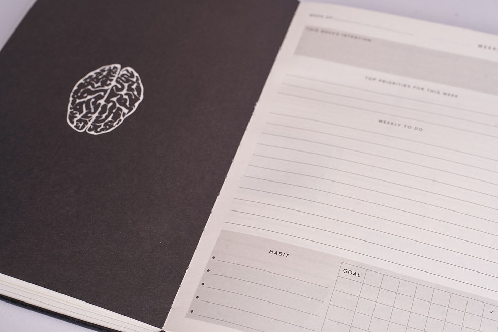 Thumbnail: Mise en Journal (Wellbeing)