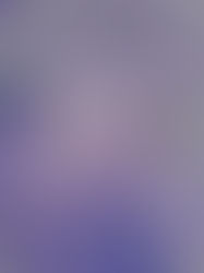 夏の怪談特集Vol.2芝原弘プロデュース『未知の奥MICHINOKU実話怪談』