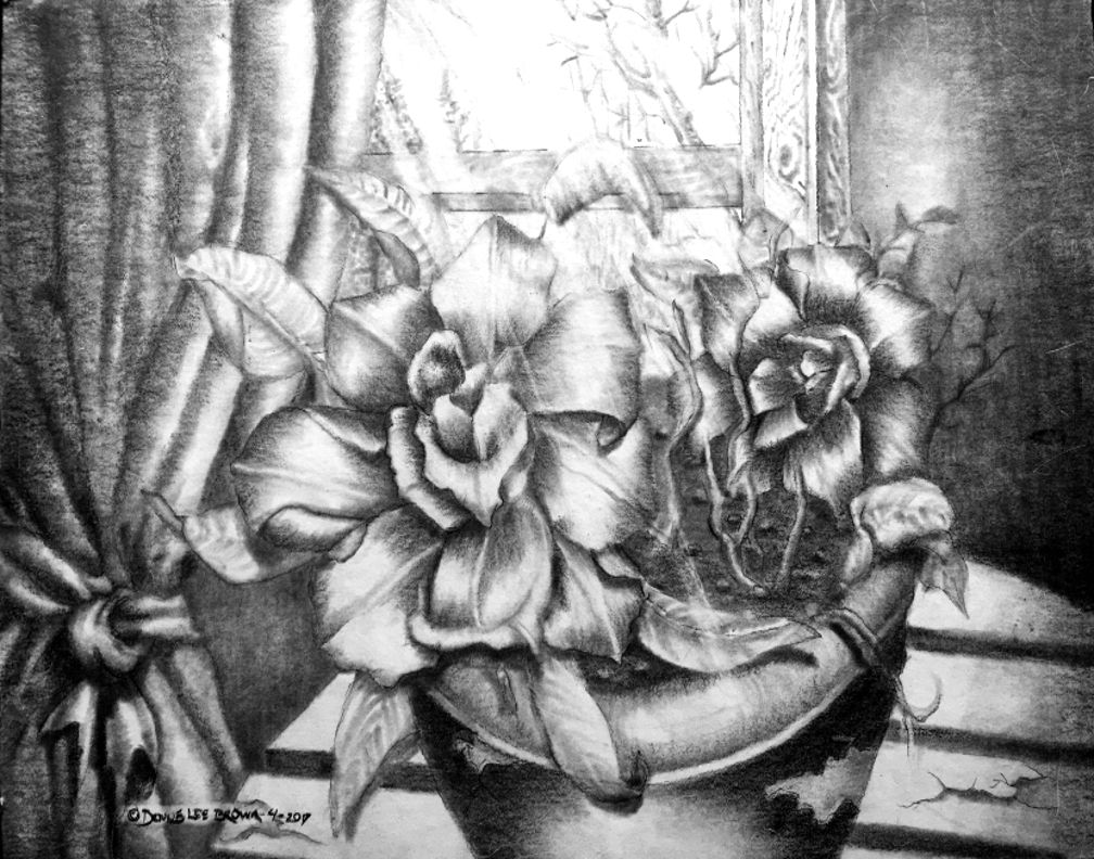 Flowerpot by the Window