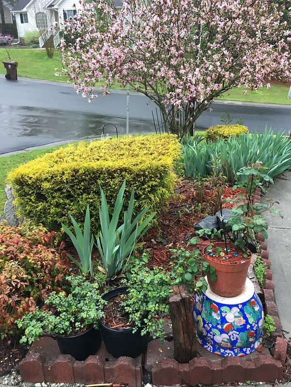 Dennis’s_Yard_&_Gardening_-_Yard__IMG_13