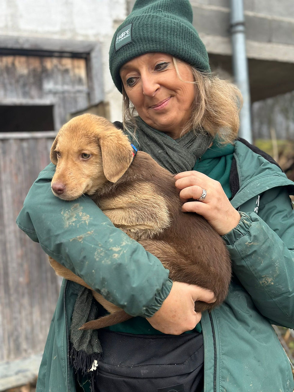 Frau hält braunen Hund im Arm – Über uns