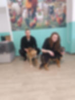 Zwei Personen mit Hunden in einer Praxis vor dem Kastrieren