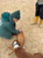 Ehrenamtliche vor Ort in Bosnien streichelt Hunde im Freien.