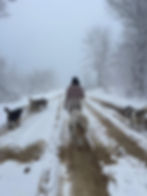Frau geht mit Hunden vor Ort in Bosnien durch den Schnee.