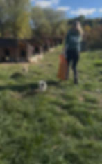 Vor Ort in Bosnien: Helferin mit Hunden bei Hundehütten.