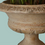 Miniatura: Vaso ampio