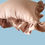 Miniatura: Cuscino con volants