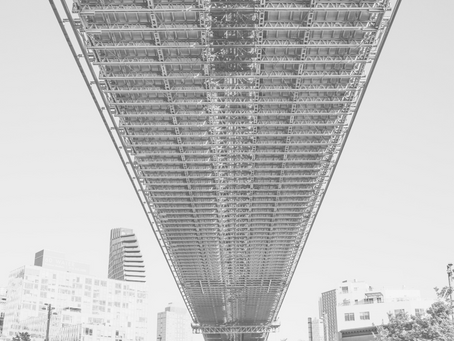 ENSAIO 89: TANATOSIS