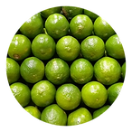 Design sem nome (7).png