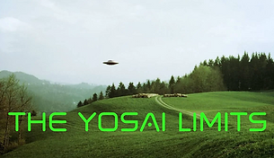 THE YOSAI LIMITS (4).png