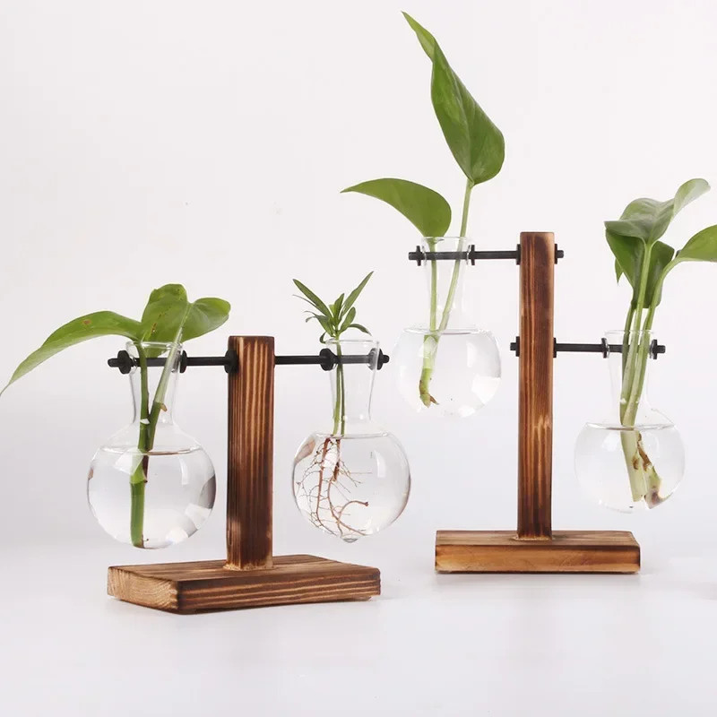 Miniatura: Terrário Hidropônico em Garrafa de Vidro