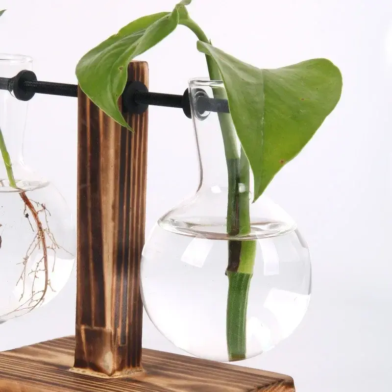 Miniatura: Terrário Hidropônico em Garrafa de Vidro