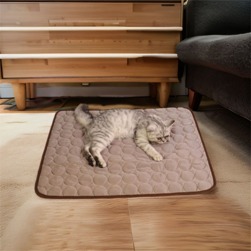 Miniatura: Tapete Gelado Cooling PetChill