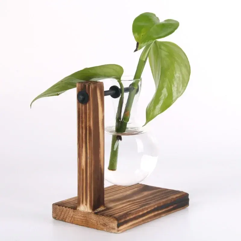 Miniatura: Terrário Hidropônico em Garrafa de Vidro