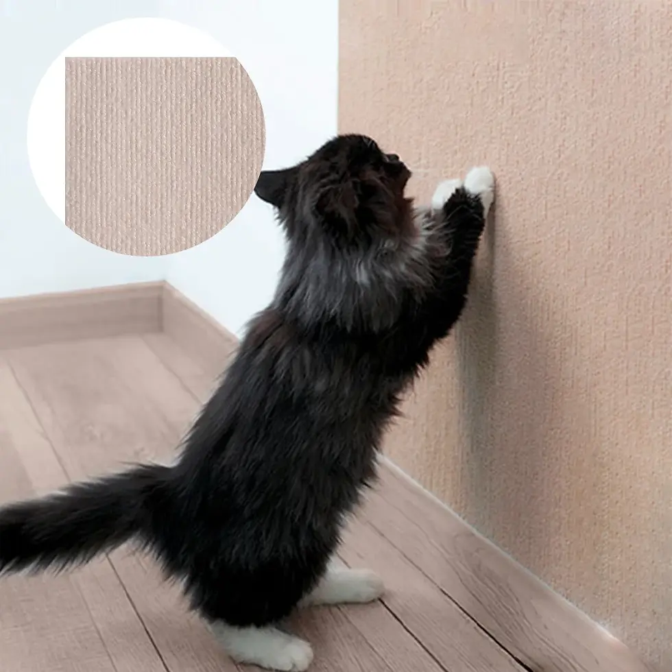 Miniatura: Carpete Adesivo Antiarranhões CatShield