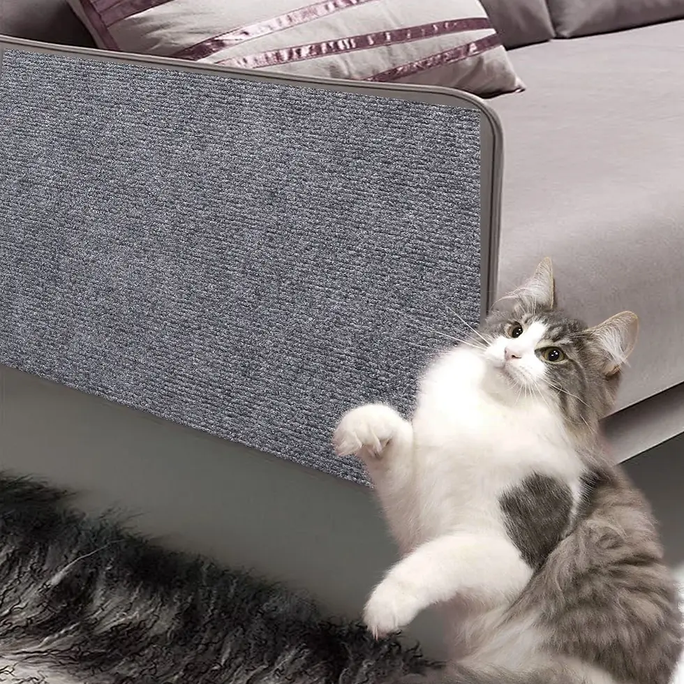 Miniatura: Carpete Adesivo Antiarranhões CatShield