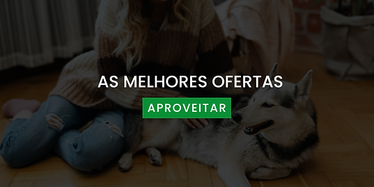 Brinquedos e acessórios para cães e gatos disponíveis na Gerts Pet