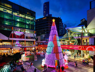 🎄 Installation, Case Studies & Why Malls Choose Us