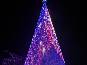 Giant Trees of 40m and 50m | ANPU Lighting | How Big Is the World's Largest Christmas Tree? | Who Produced the World's Largest Christmas Tree?