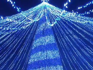 🎄 Custom-Built Giant Christmas Trees: Designs, Materials & Safety