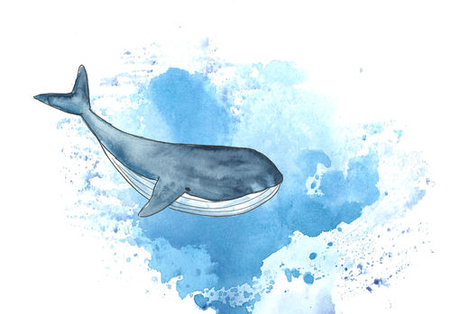 BEGEISTERT neutraler.jpg