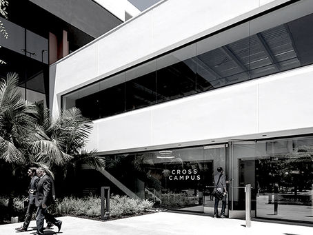 Cross Campus Member Spotlight