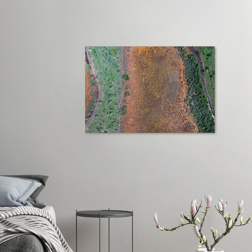 Thumbnail: Aluminum Print