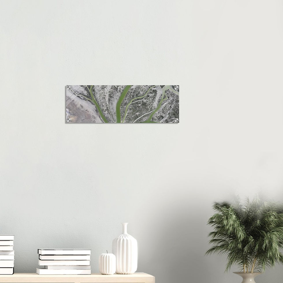 Thumbnail: Acrylic Print