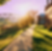 boxx-town-methen-ma-hero-mobile.png