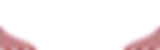 desalvo-residential-home-intro-background.png