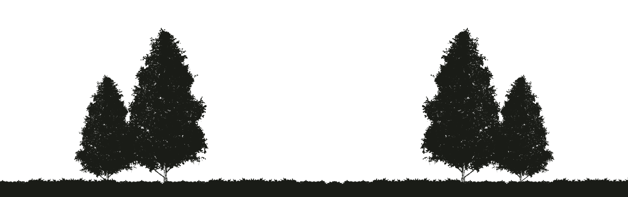 Silhouette of trees and grass