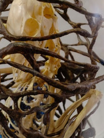 Hostage_detail_1_