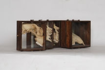 cracks three quarter