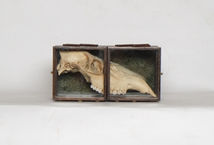 The_cracks_are_there_to_let_the_light_in_closed_