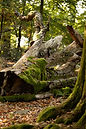 Catha06.09.22 (46 von 94).jpg