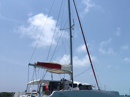 Neues Listing: Neel 43 – Überlegene Segeleigenschaften dank Trimaran-Design