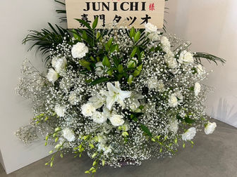 祝植物