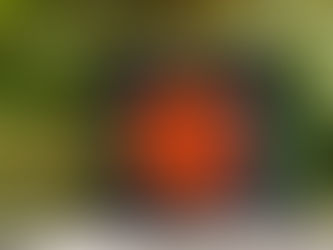 さよなら石榴