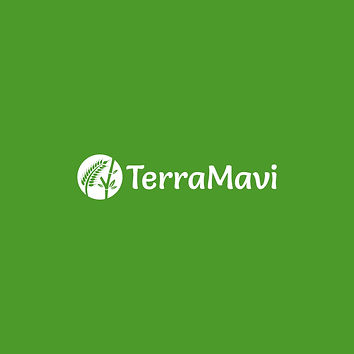 TerraMavi.jpeg
