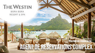 Agent de Réservations Complex (F-H)